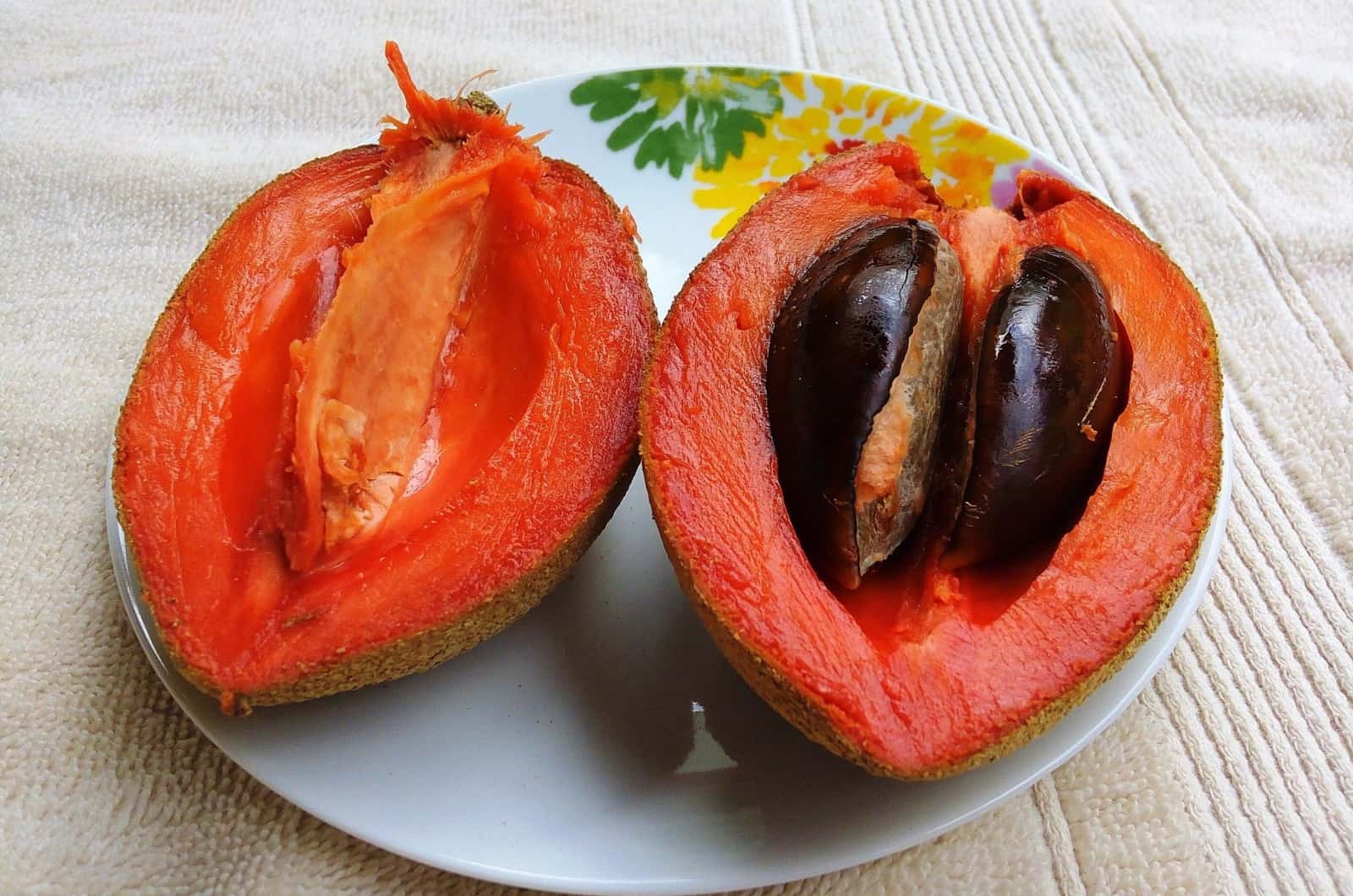 Mamey-Sapote-Frucht