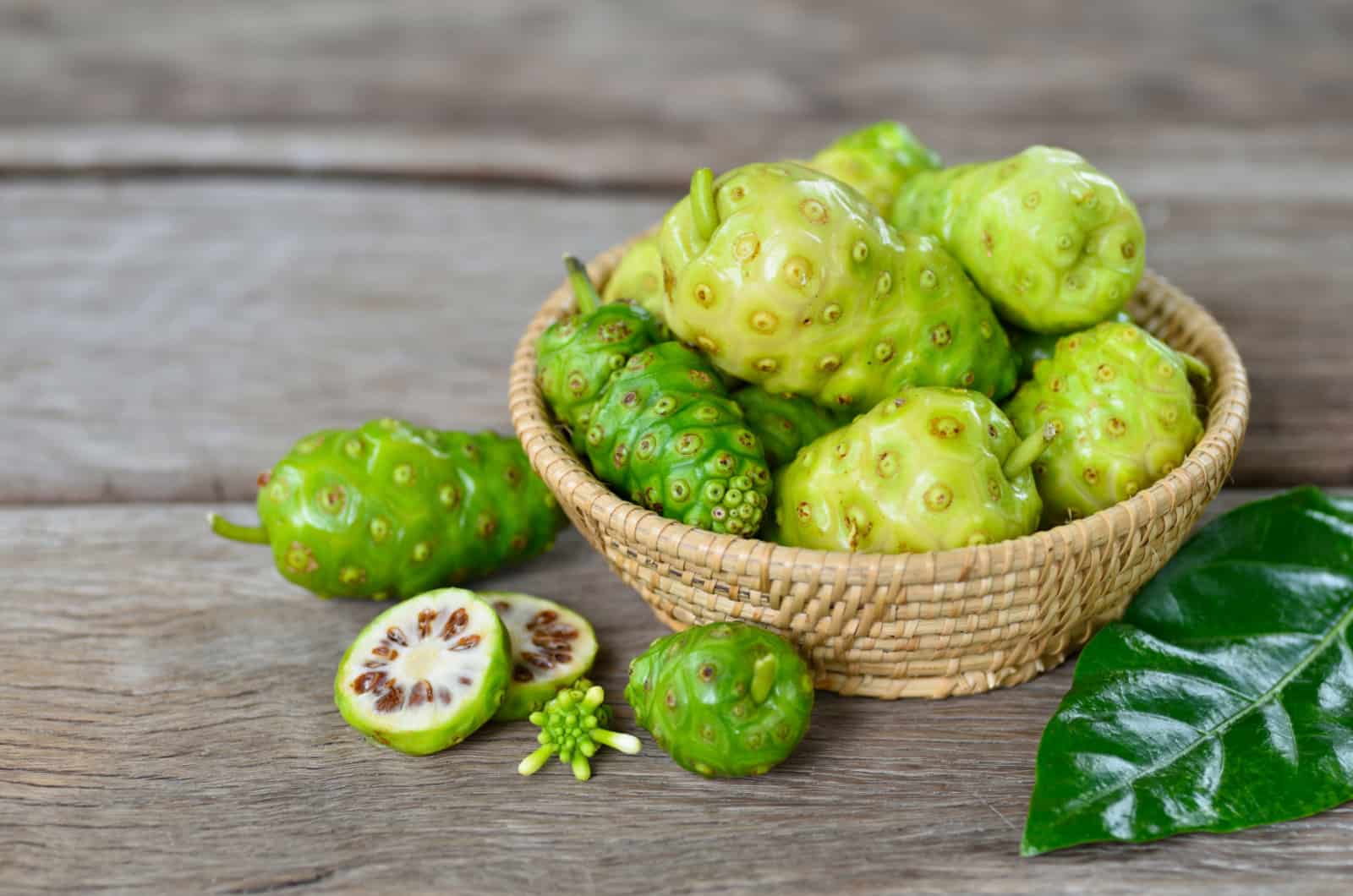 Morinda fruit