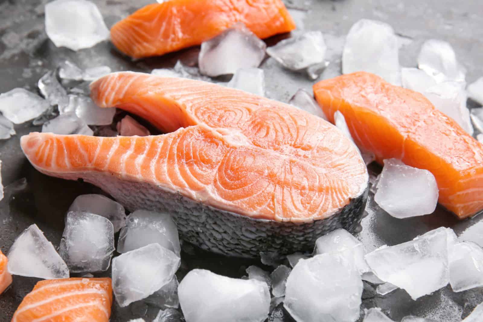 Raw salmon and ice cubes