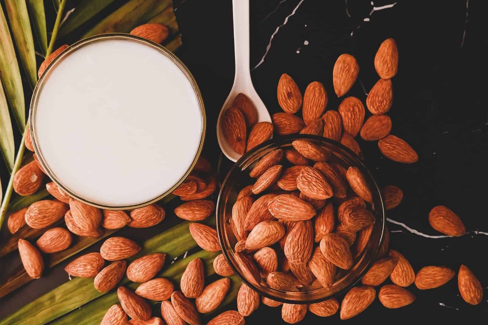 almonds and bowl of milk on the table