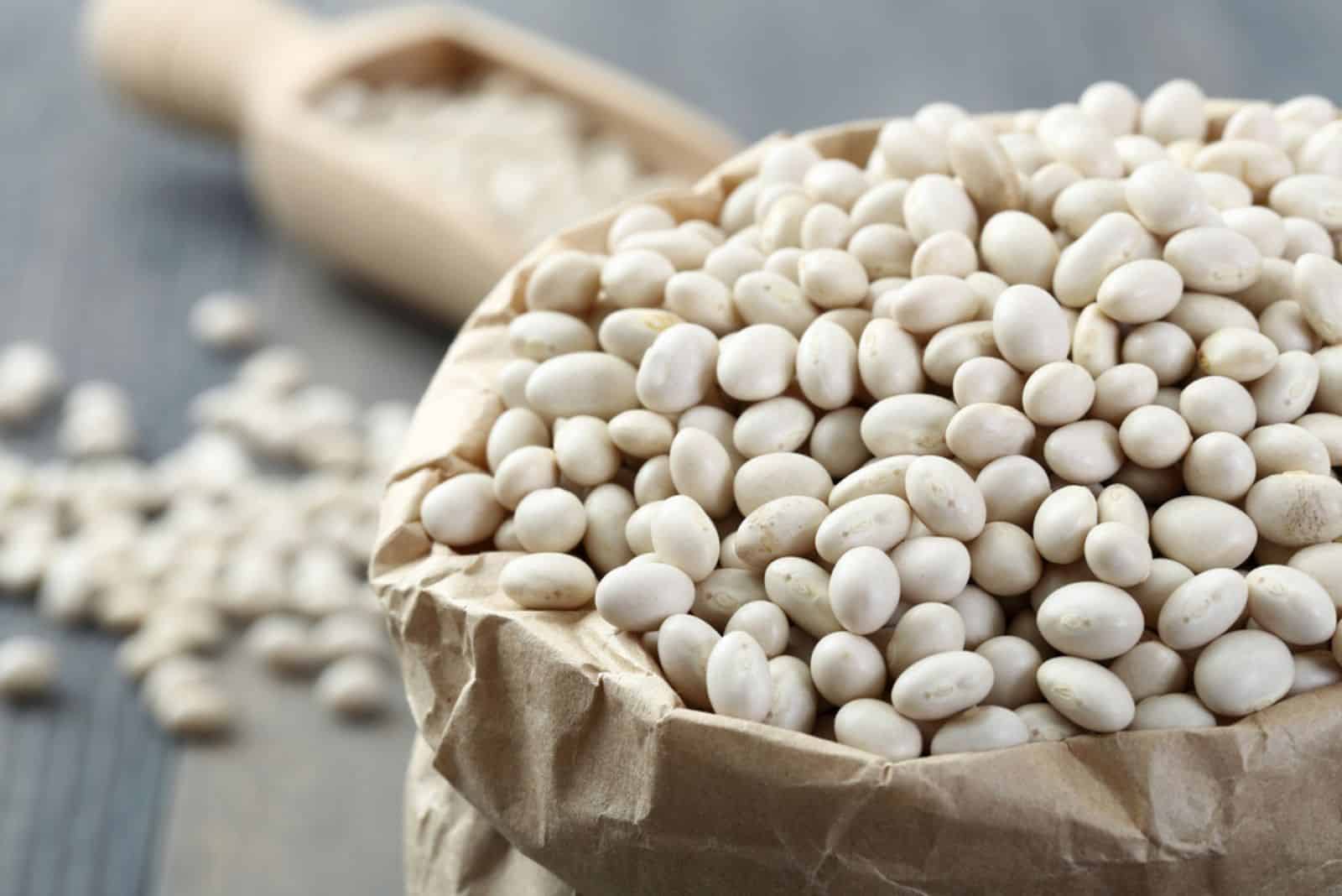 White Beans in a bag