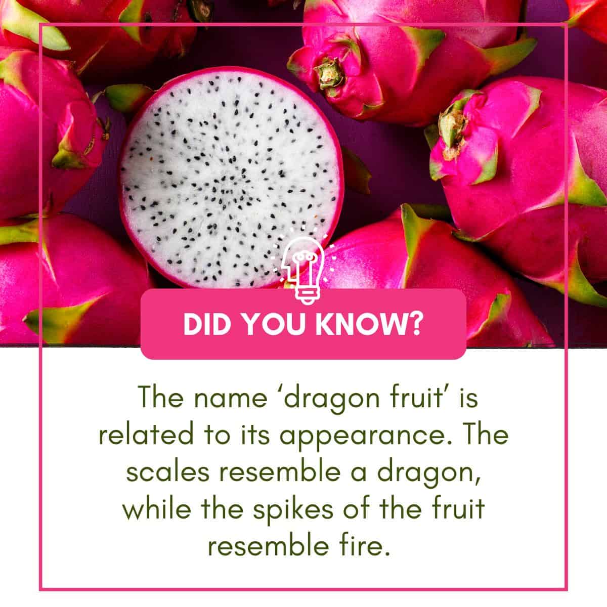 fruta del dragón ¿lo sabías?