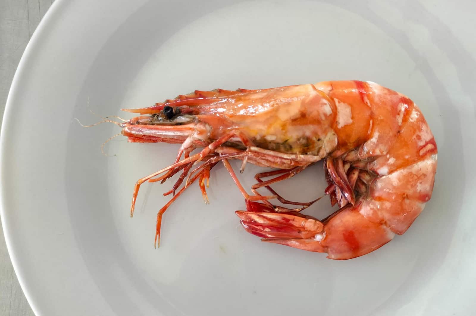 photo of a shrimp with head