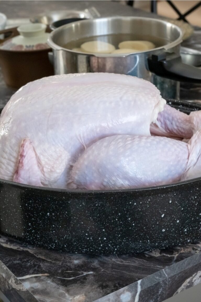 4 Ways To Thaw A Turkey Overnight From Safest To Fastest   Turkey On Countertop 768x1152 