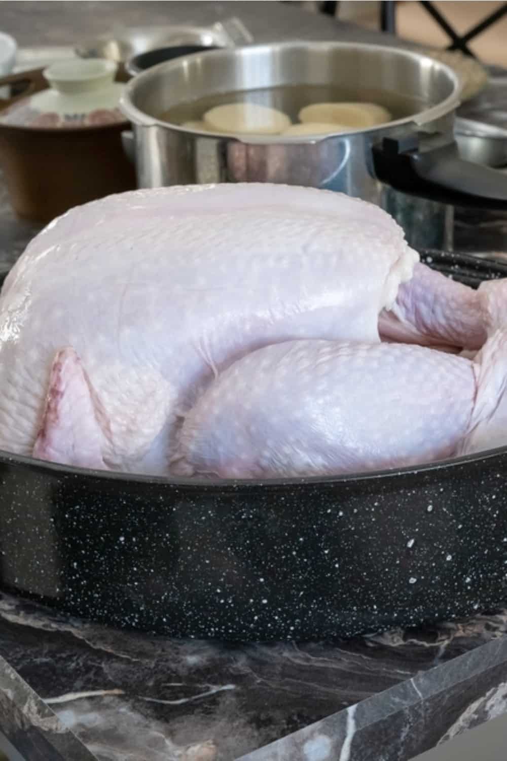 turkey on countertop