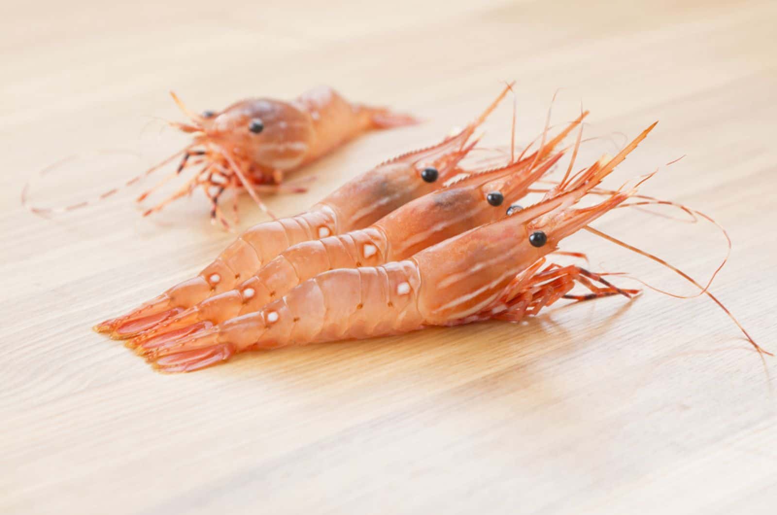 crevettes tachetées blanches sur la table