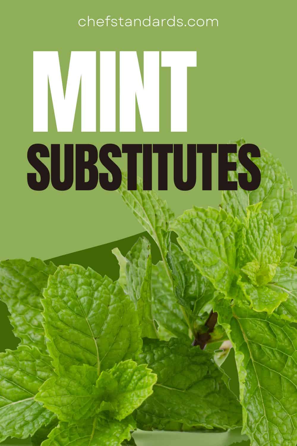 14 Mint Substitutes To Get The Same Aromatic Intensity
