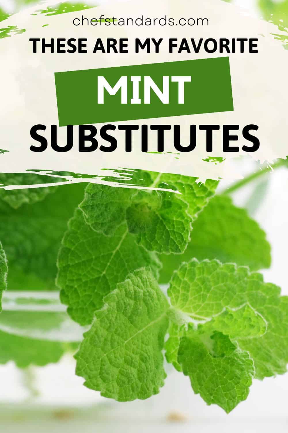 17 Refreshing Mint Substitute Ideas (Fresh + Dried Mint)