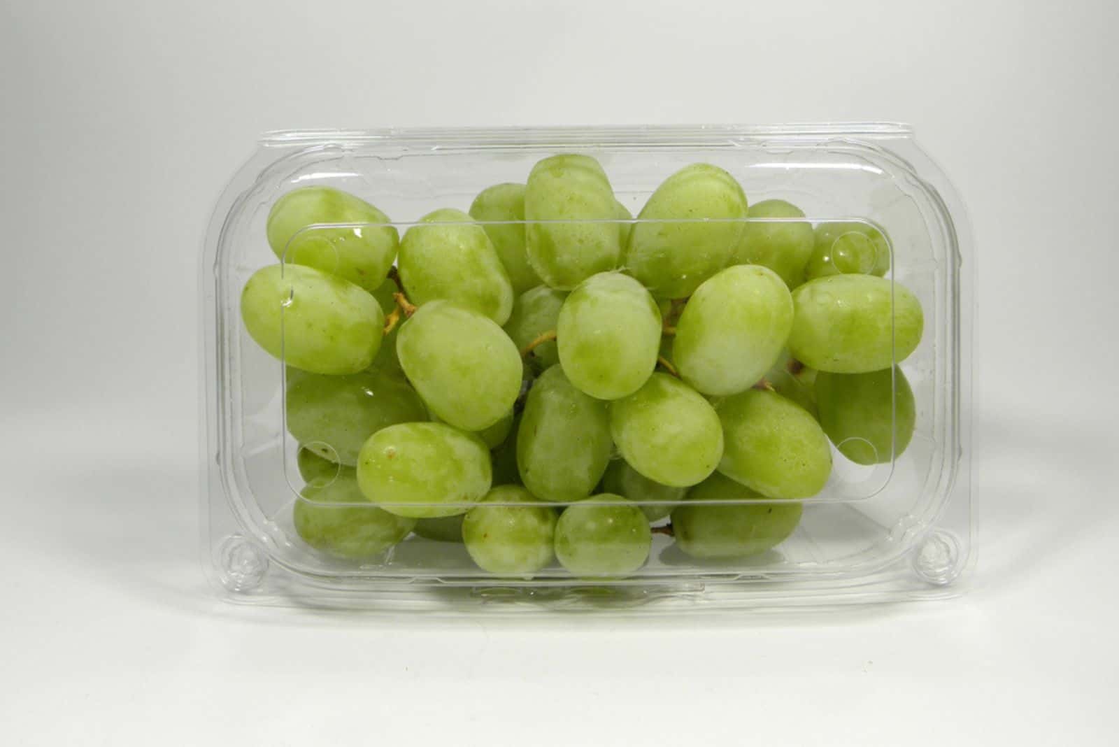 Uma caixa de uvas verdes americanas sem grainha, embaladas numa caixa de plástico transparente