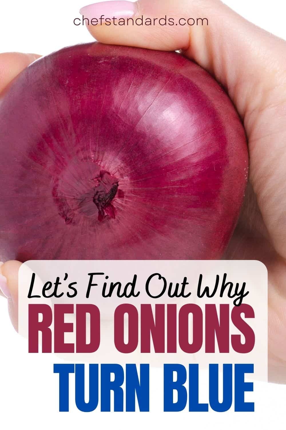 Do Blue Onions Exist If Not, Why Do They Turn Blue-ish 