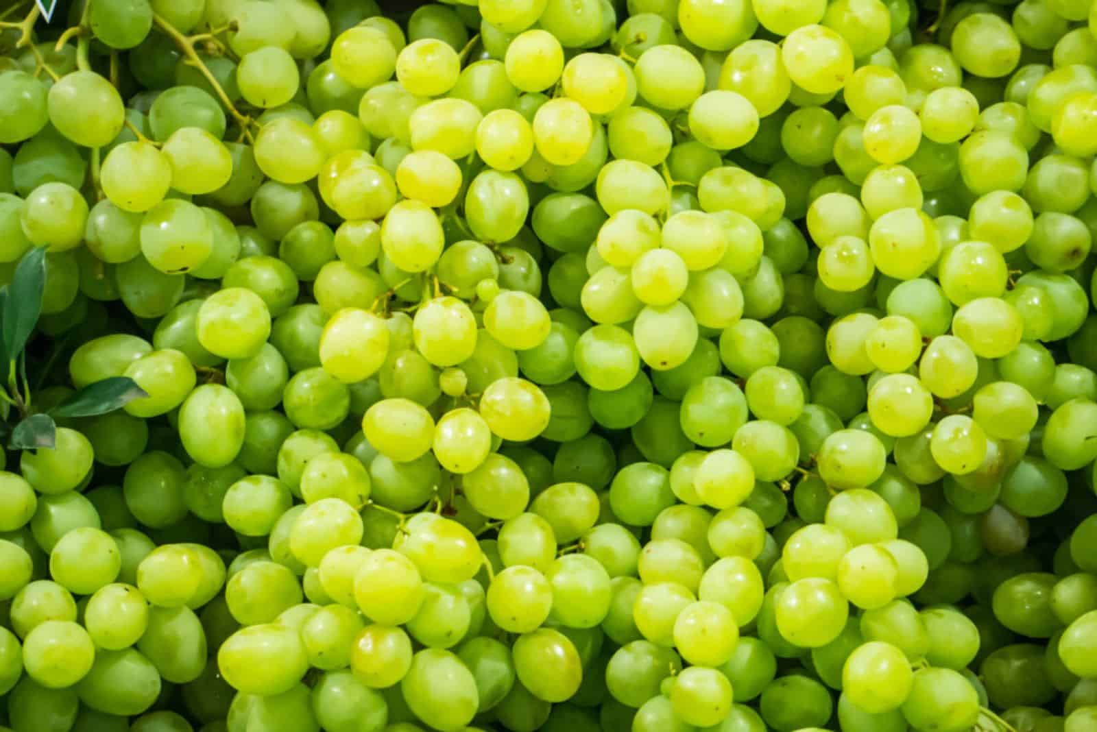 Frisches Obst Brunch Grüne Weintrauben