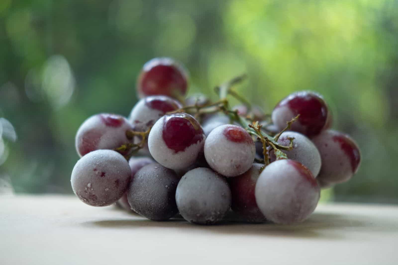 Frozen seedless red colored grapes fruits
