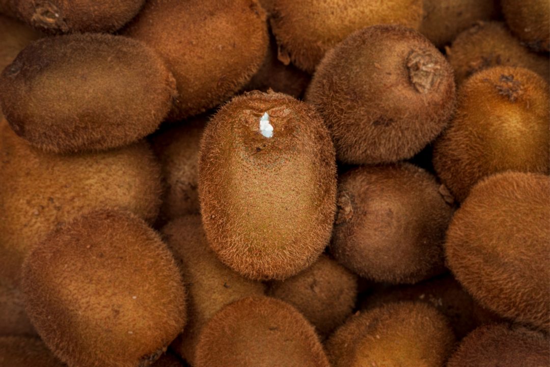 How To Store Kiwi? The Best Way To Store Kiwifruit