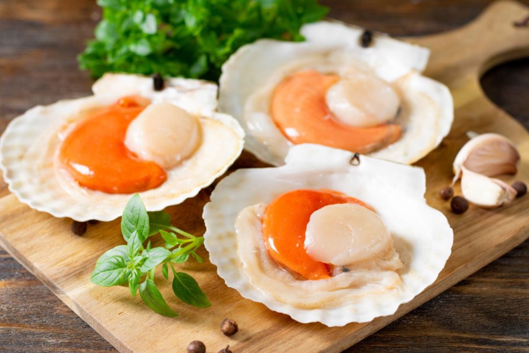 Can You Eat Scallops Raw? One Tricky Question Answered