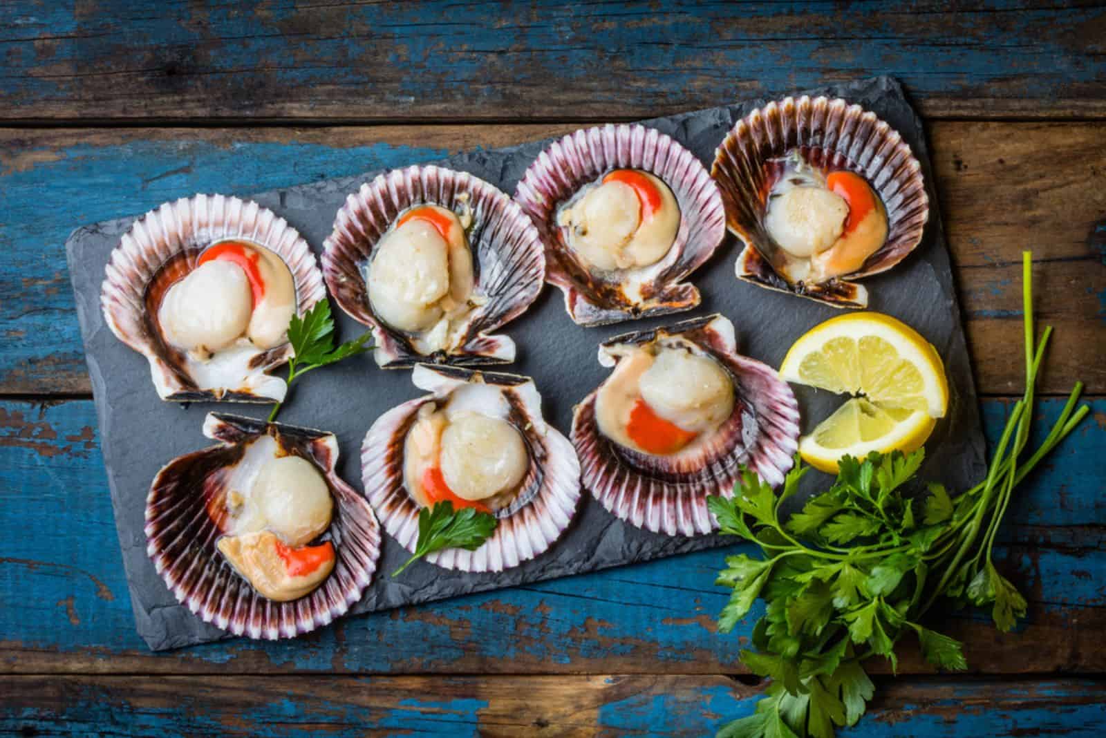 Raw scallops with lemon, cilantro and white wine on black stone slate plate