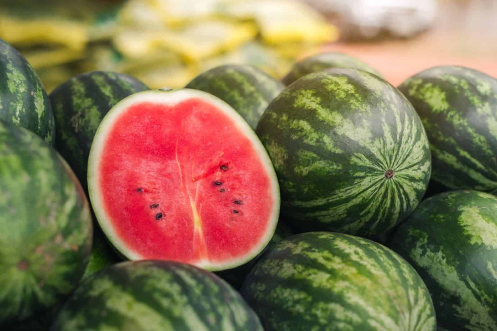Several large sweet green watermelons and cut watermelons