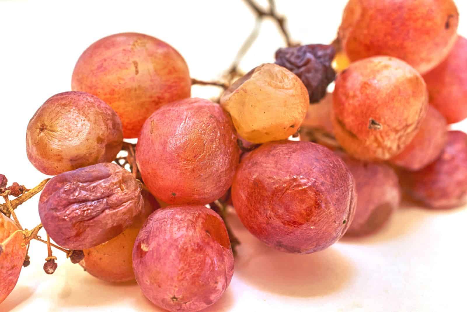 Cacho de uvas estragado