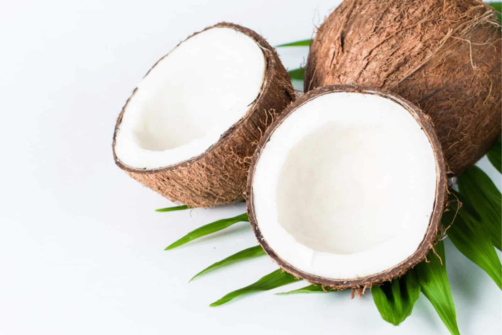  White Coconut