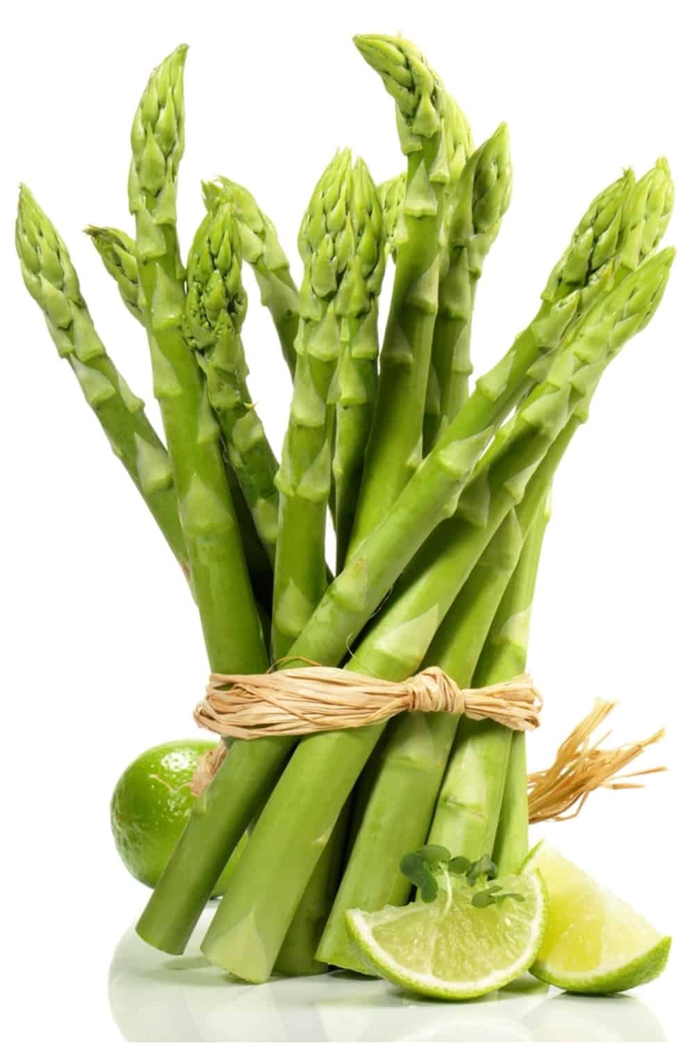 Spargel