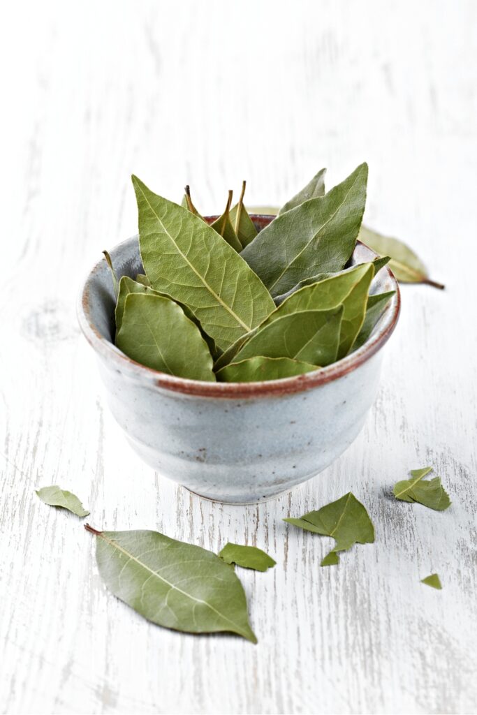 10 Curry Leaves Substitutes To Solve Your Leaf Shortage