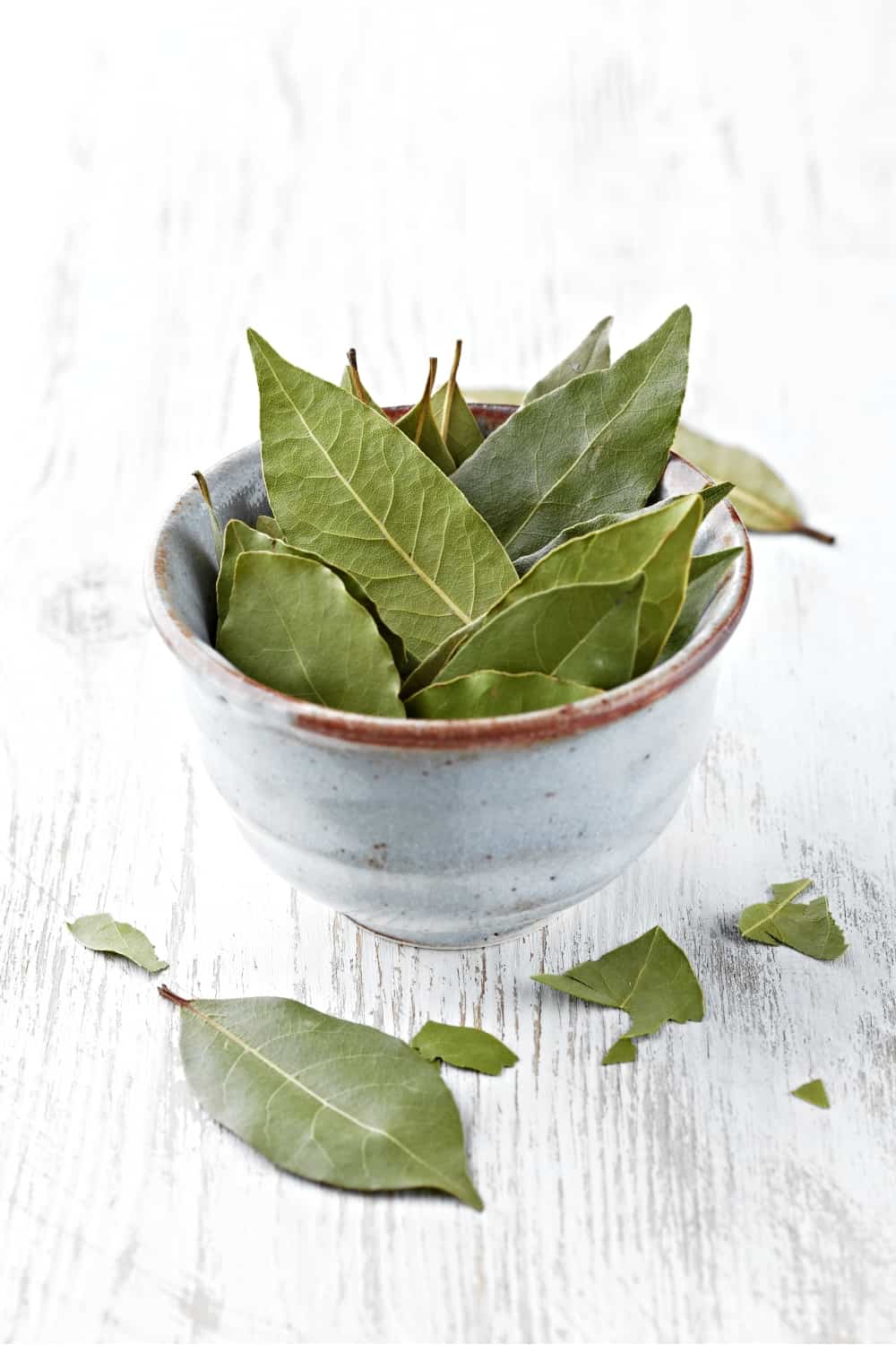 bay leaves in a dish
