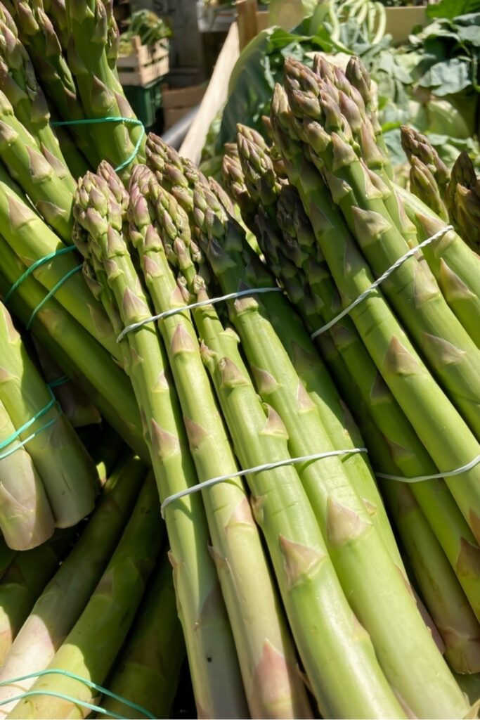 7 Signs That Tell Your Asparagus Is Bad Or No Longer Fresh