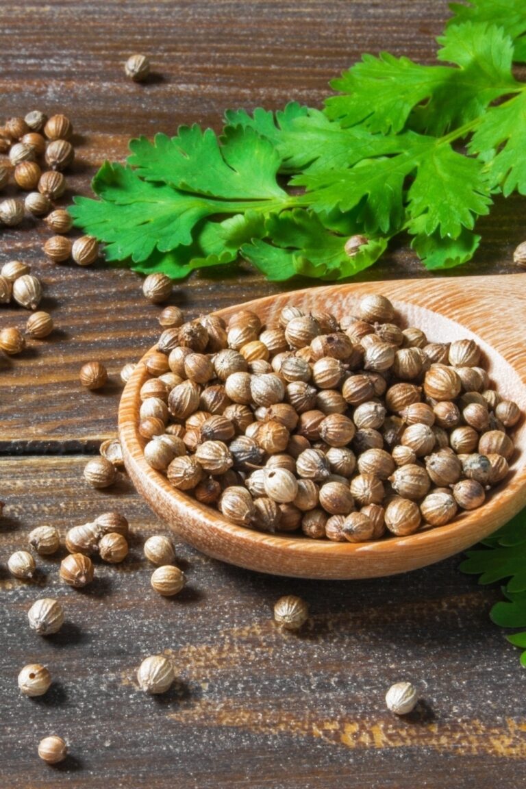 10 Curry Leaves Substitutes To Solve Your Leaf Shortage