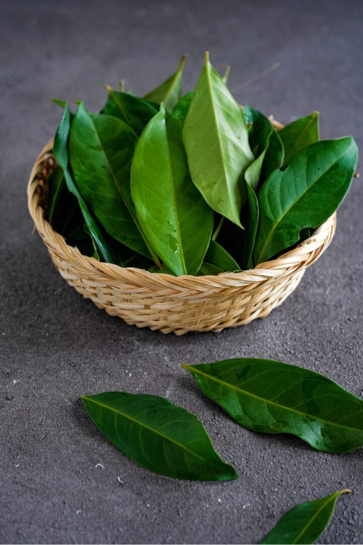 10 Curry Leaves Substitutes To Solve Your Leaf Shortage