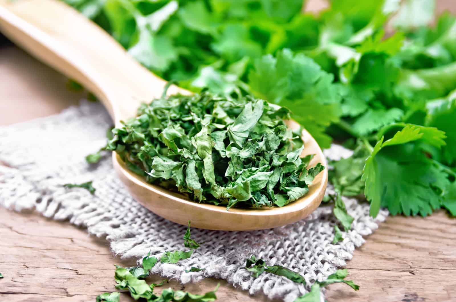 dried cilantro