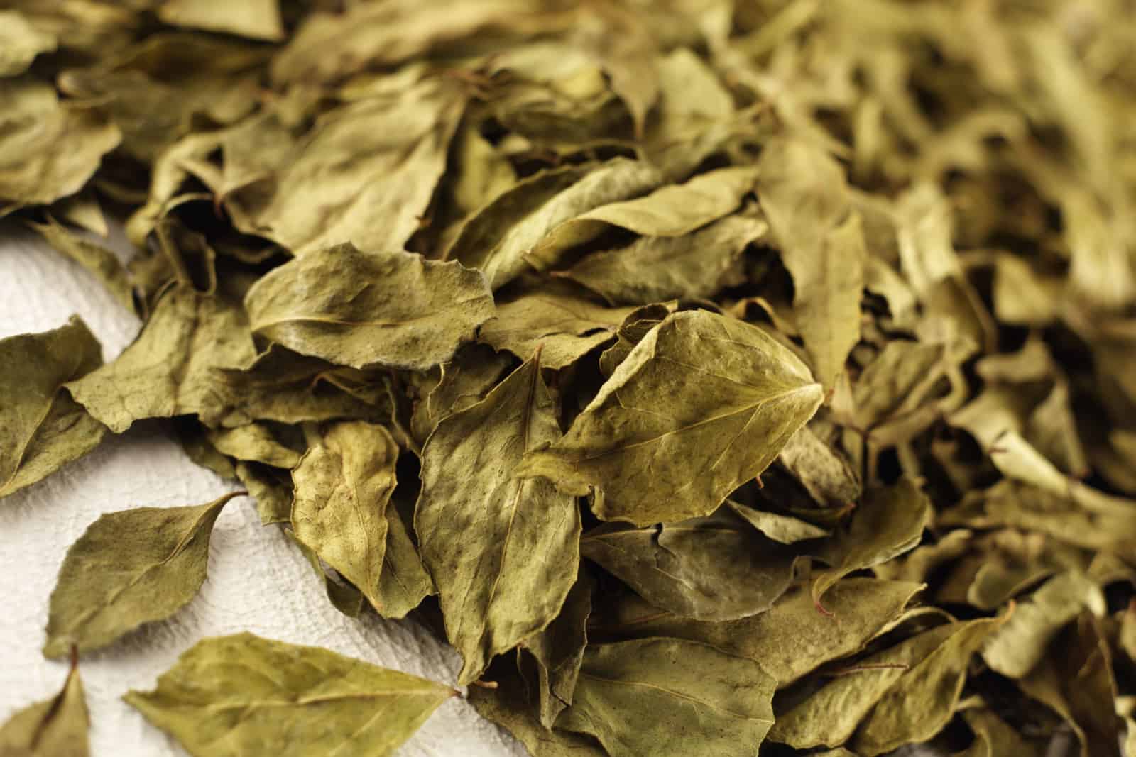 dried curry leaves