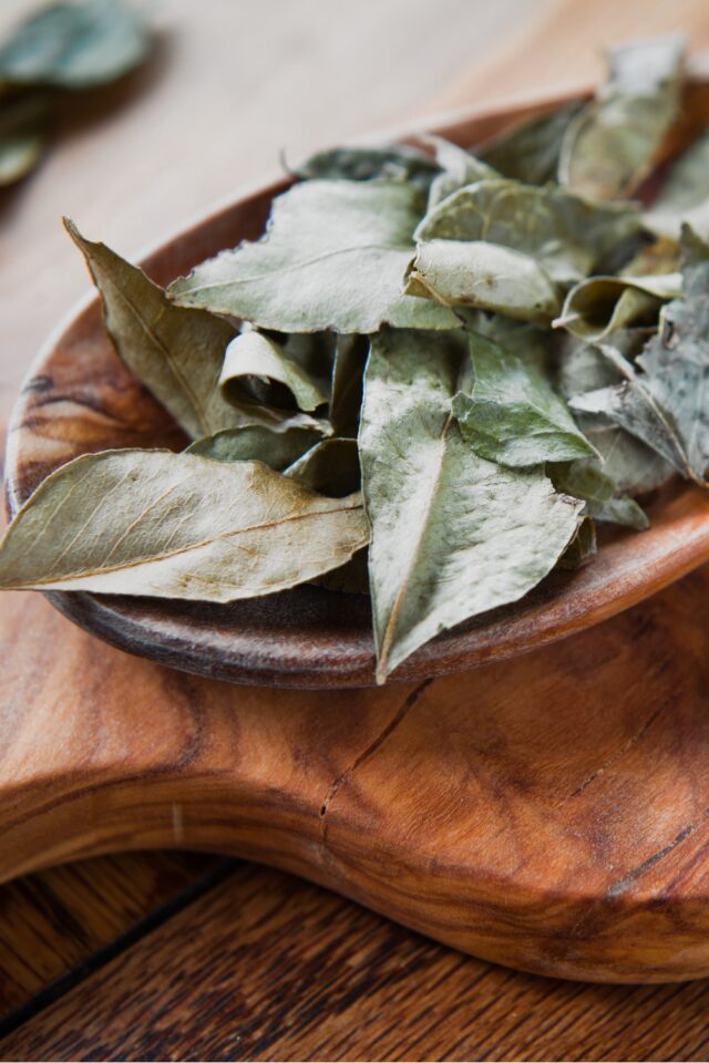 10 Curry Leaves Substitutes To Solve Your Leaf Shortage