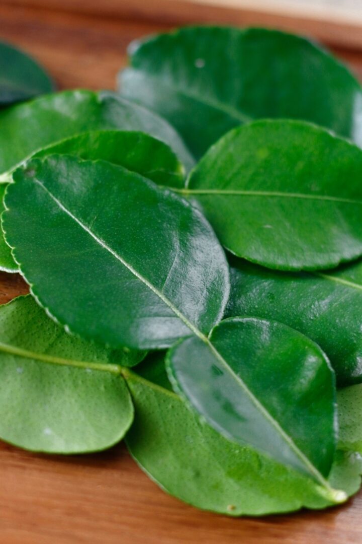 10 Curry Leaves Substitutes To Solve Your Leaf Shortage