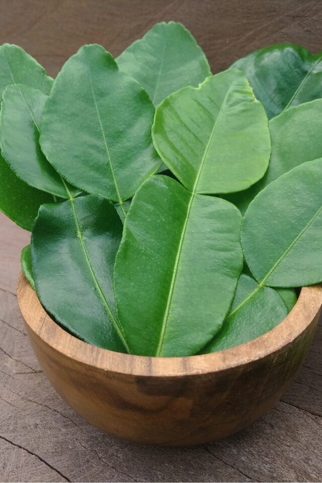 10 Curry Leaves Substitutes To Solve Your Leaf Shortage