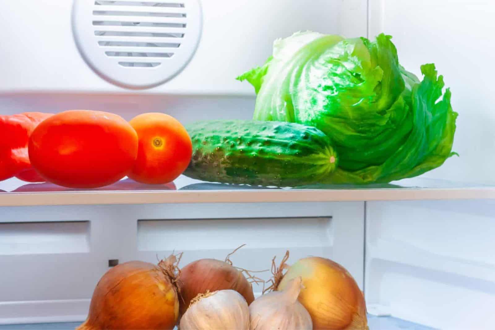 onion with vegetables in the fridge