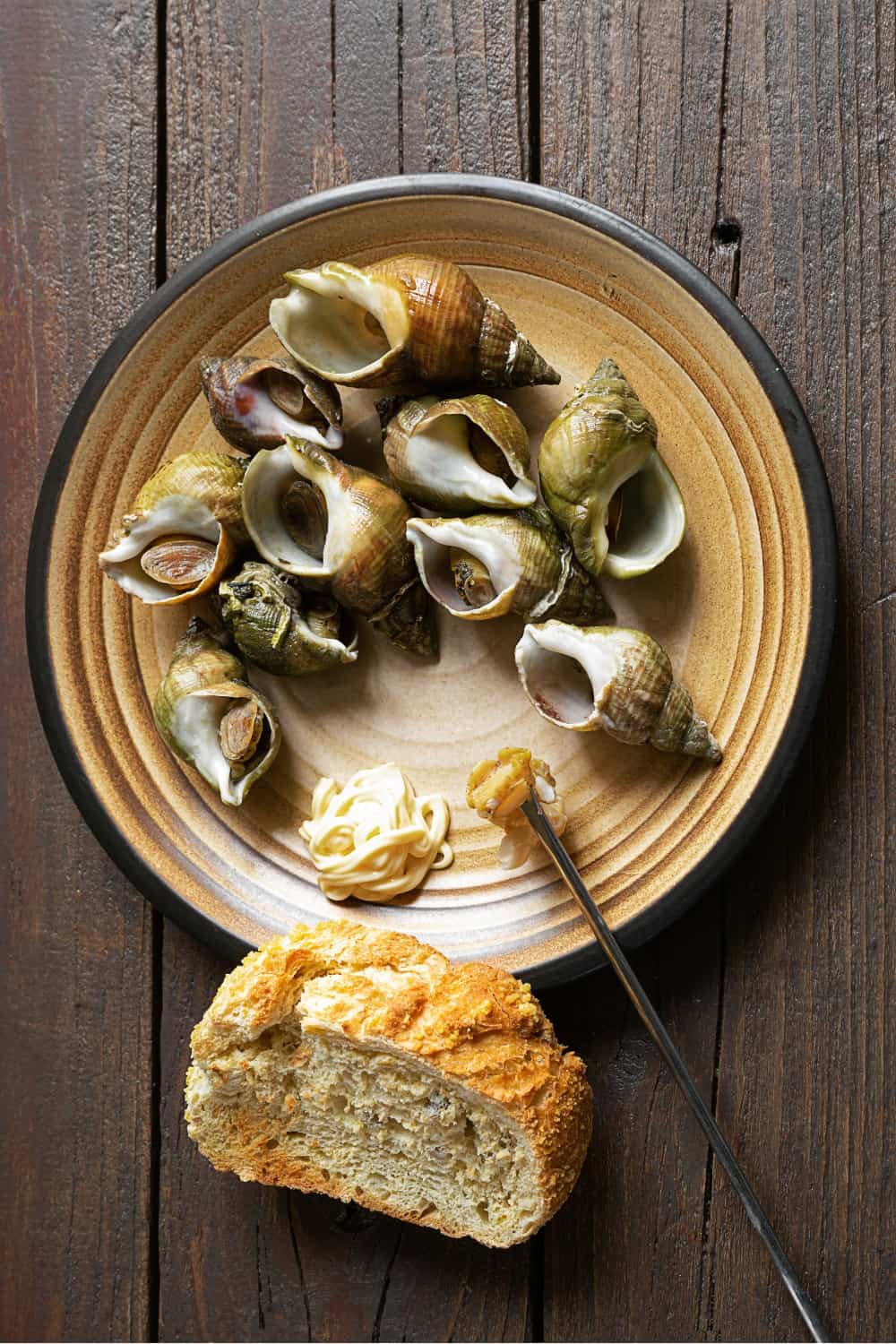 photo of whelks on a plate with a piece of bread