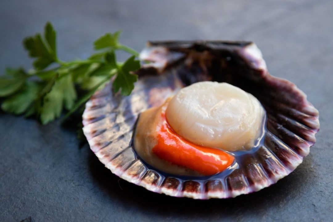 Can You Eat Scallops Raw? One Tricky Question Answered