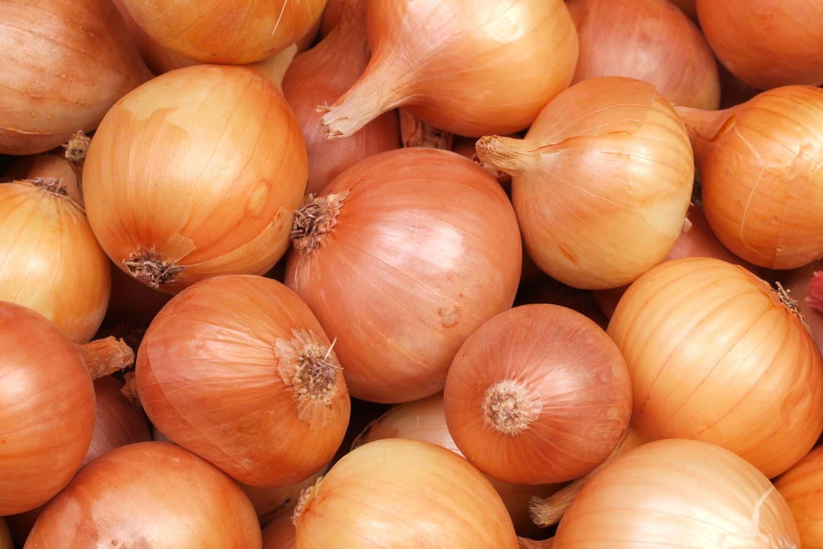 red onion with spots