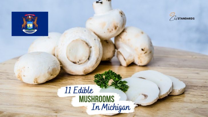 11 Edible Mushrooms In Michigan And 5 Inedible Options