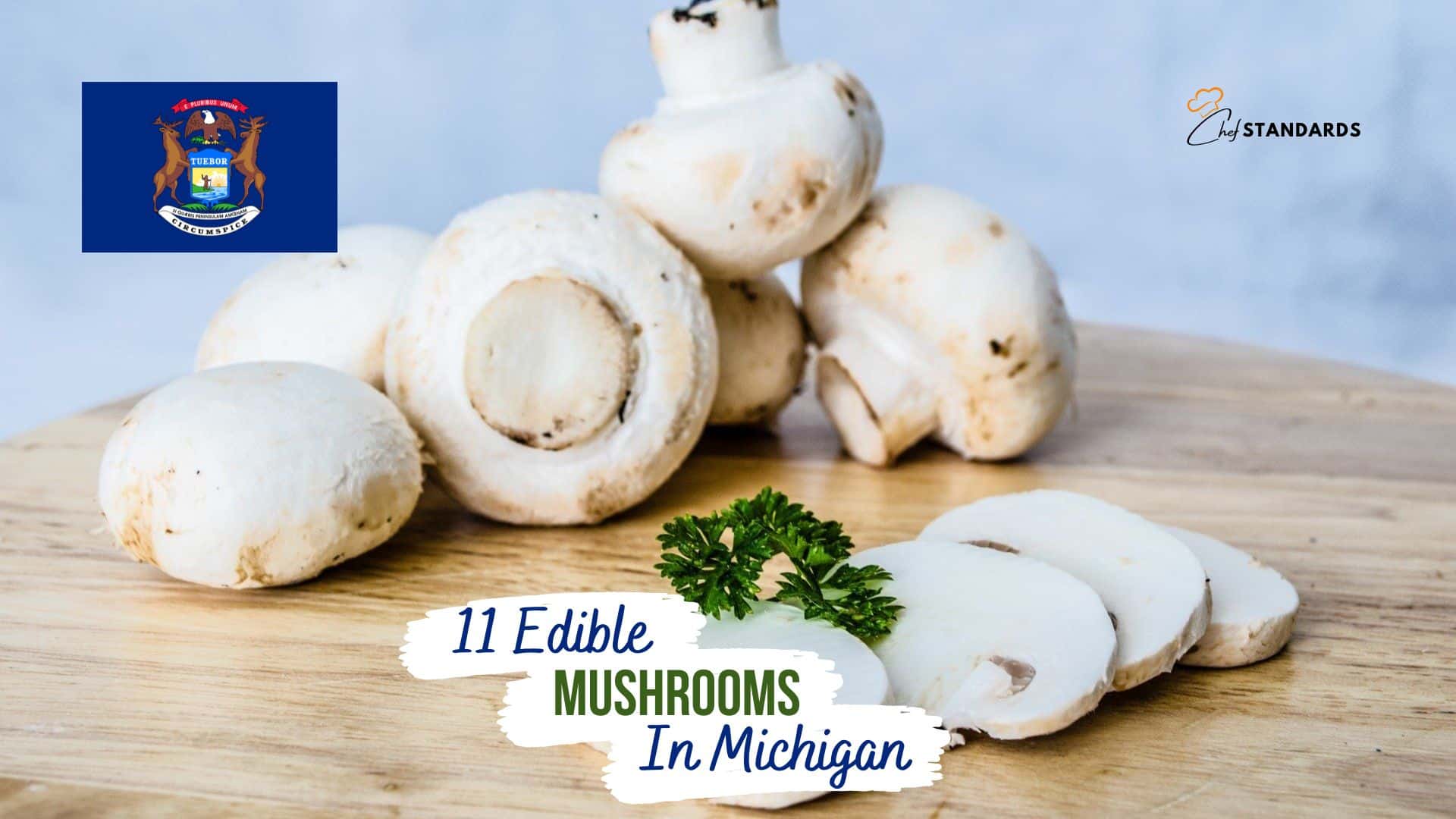 11 Edible Mushrooms In Michigan And 5 Inedible Options
