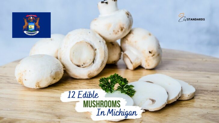 12 Edible Mushrooms In Michigan And 6 Toxic Ones To Consider