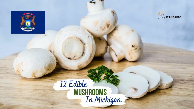 mushrooms on table