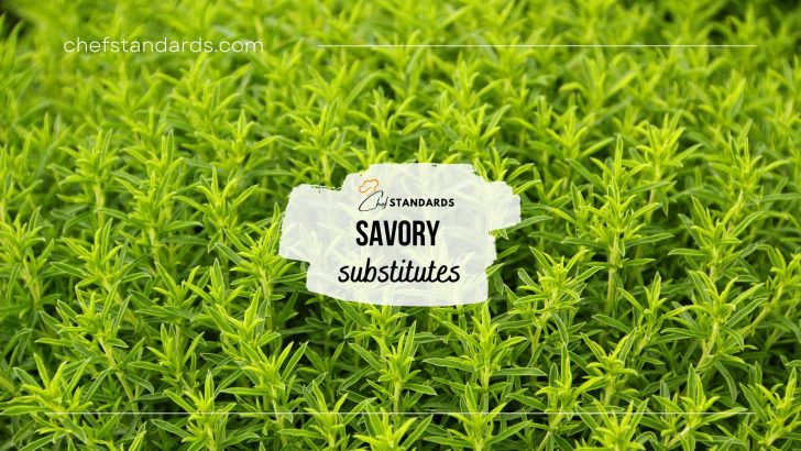 13 Summer And Winter Savory Substitutes