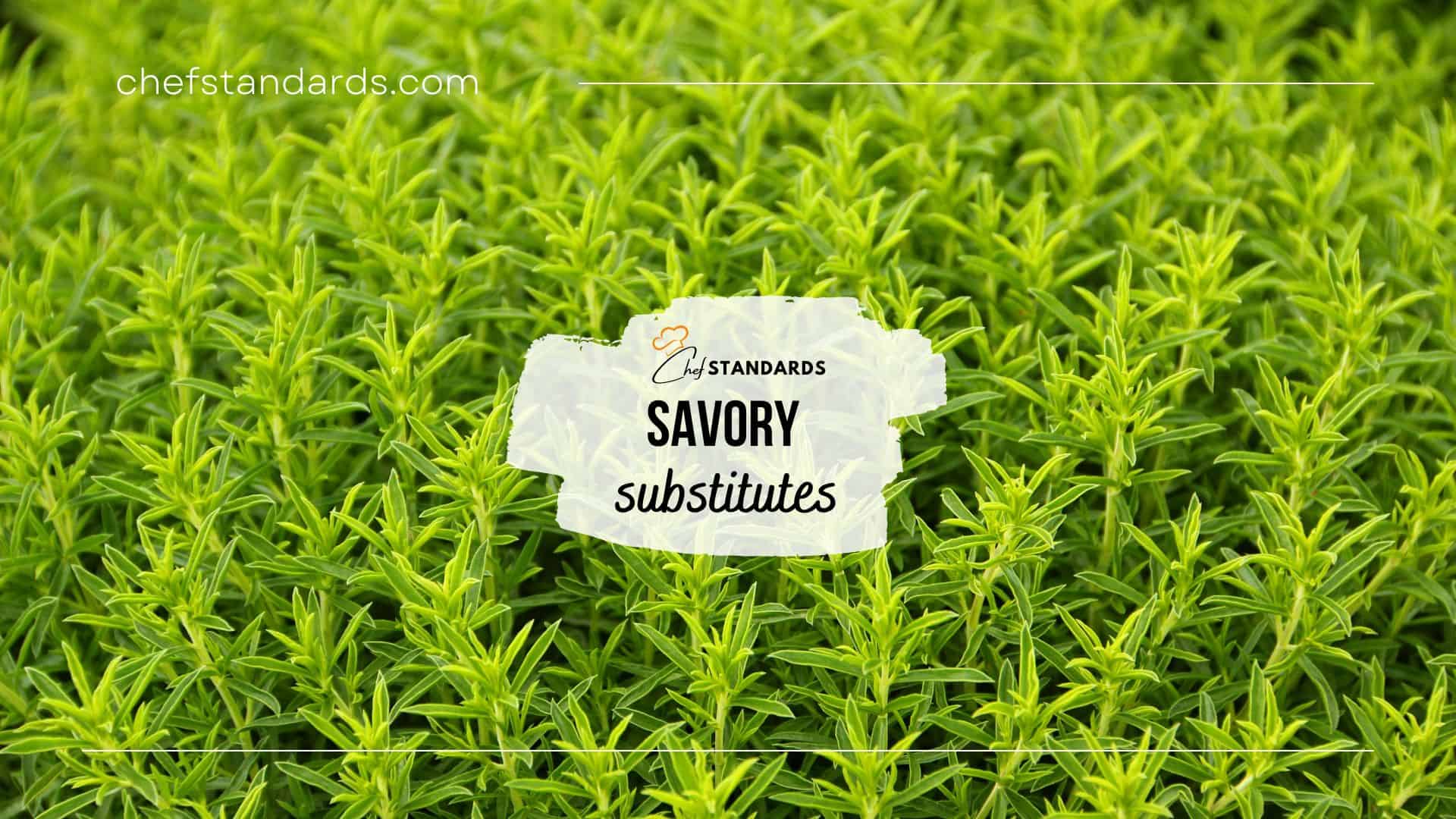 savory substitutes suited for any dish