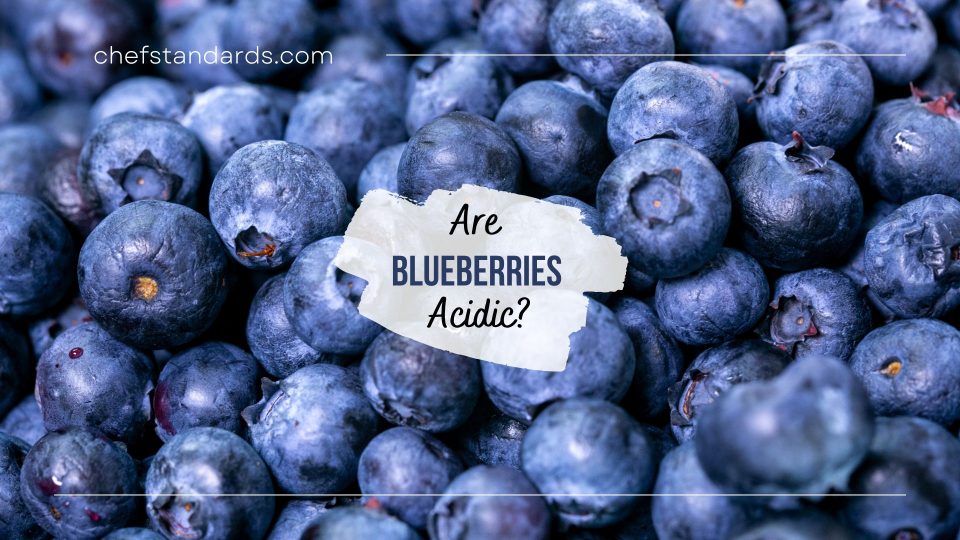 Are Blueberries Acidic? Are Blueberries Bad For Acid Reflux