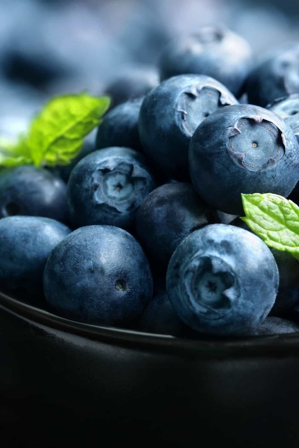 Blaubeeren im schwarzen Korb