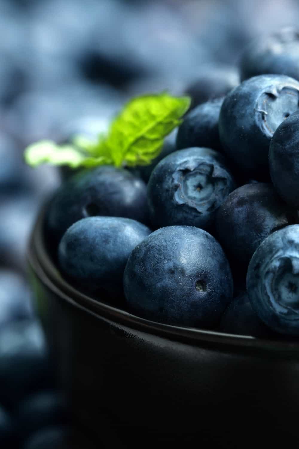 Nahaufnahme von Blaubeeren in einer Schale