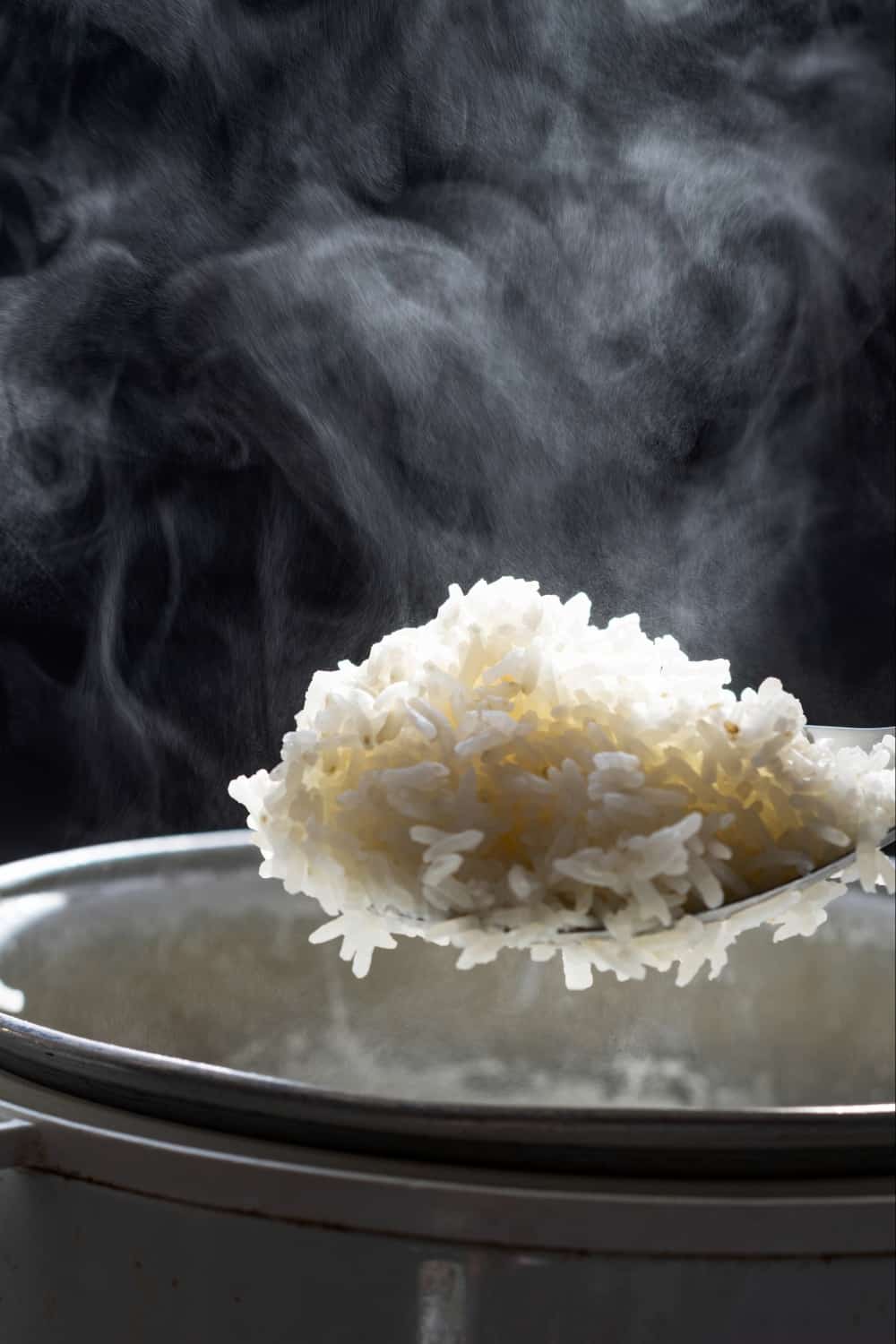 primer plano de una cuchara llena de arroz