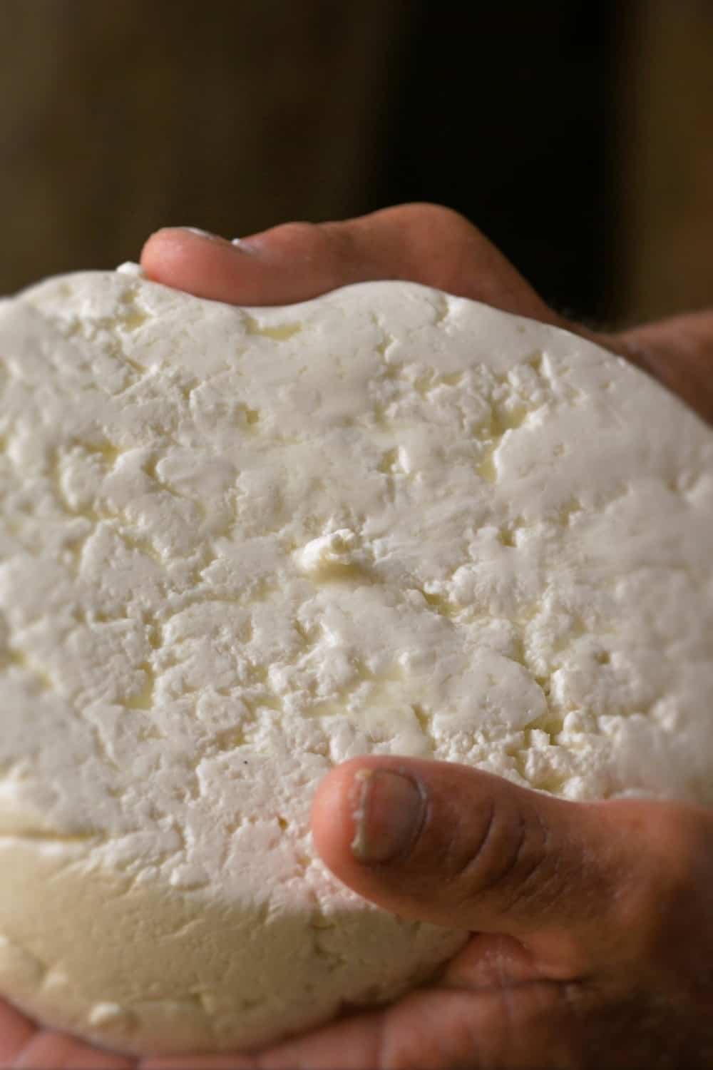 hands holding Goat Cheese
