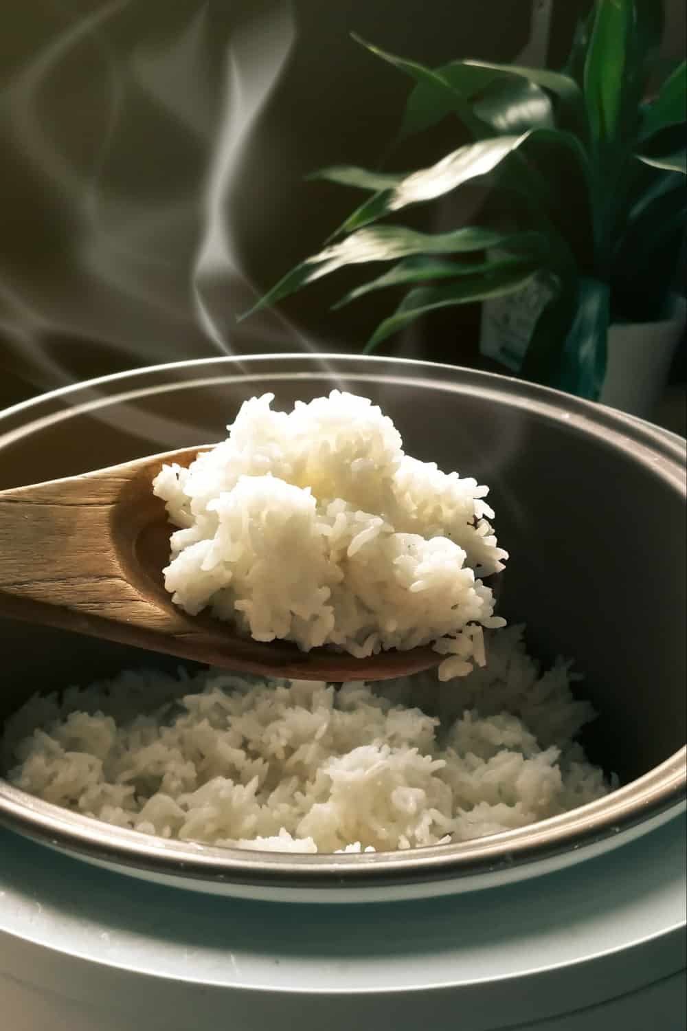 arroz caliente en cuchara