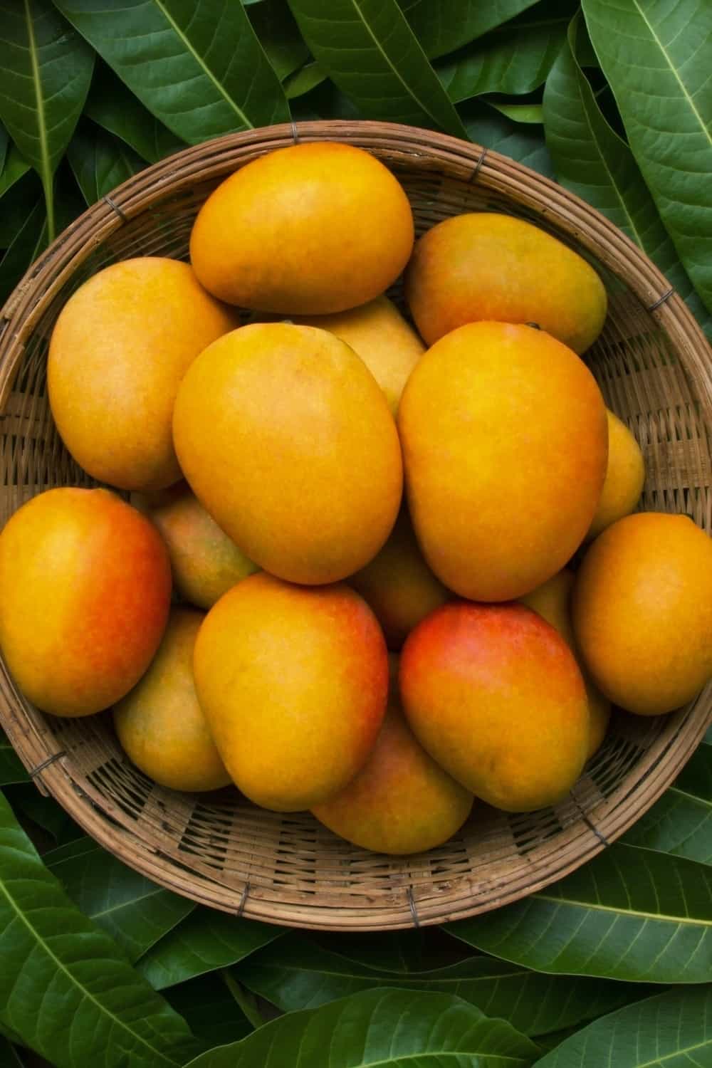 mangoes in basket